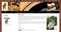 Desktop Screenshot of greatowlguitars.com